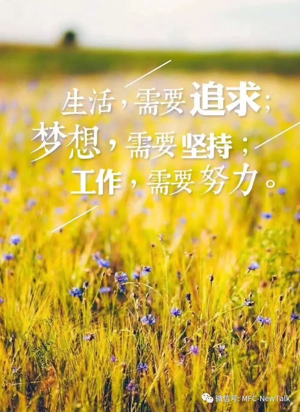 2019年度心灵美句精选，传递正能量与温馨希望