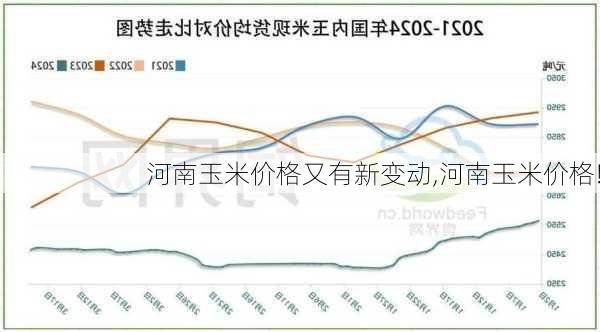 王米行情喜人，今日最新价览