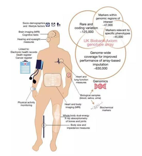 健康守护新篇章：最新病例同步更新