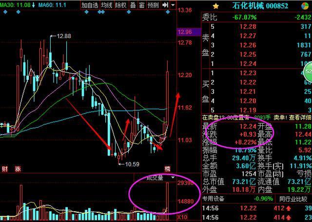 罗顿发展最新资讯