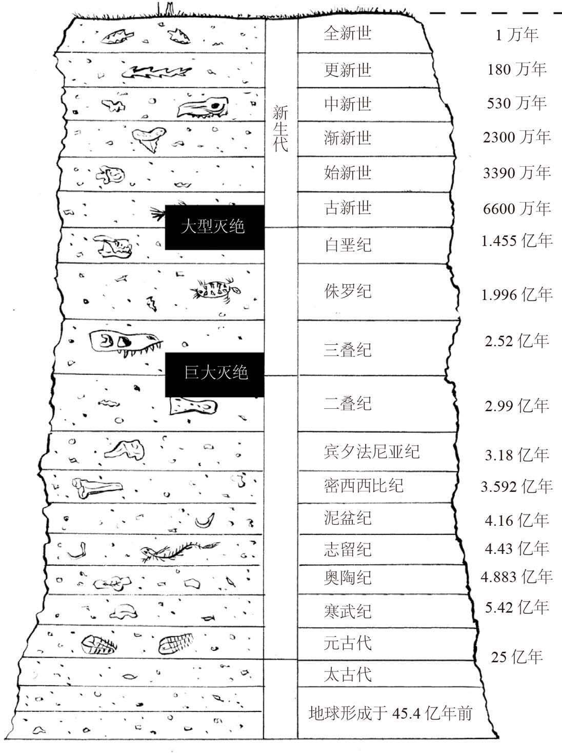 全新地质时代年表揭秘