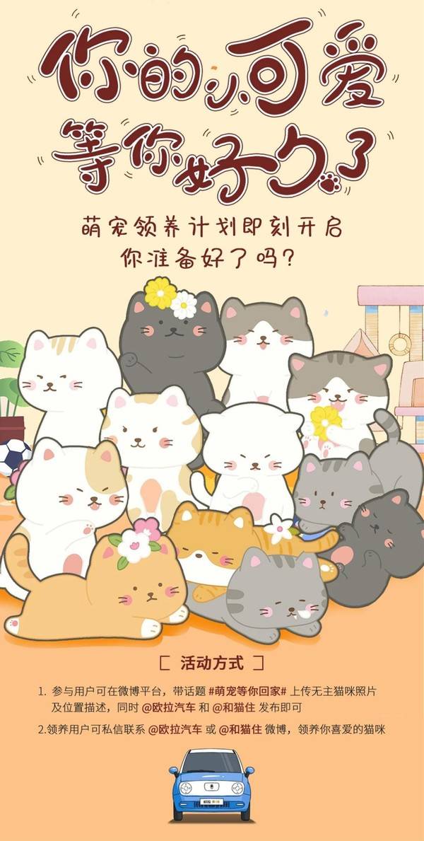 猫咪社区V破解版全新发布