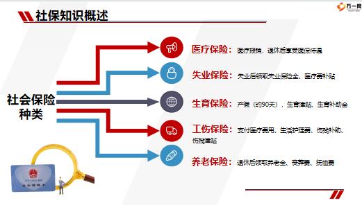 最新社保走势V图解读