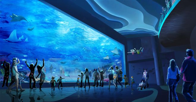 深海奇观：水族馆神秘新鱼亮相