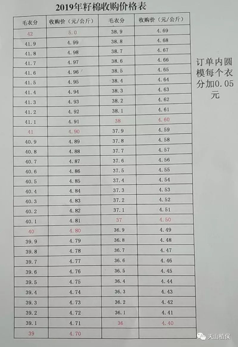 新疆皮棉现时市价