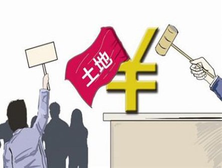 衢州近期热拍资讯速递：最新拍卖公告全解读