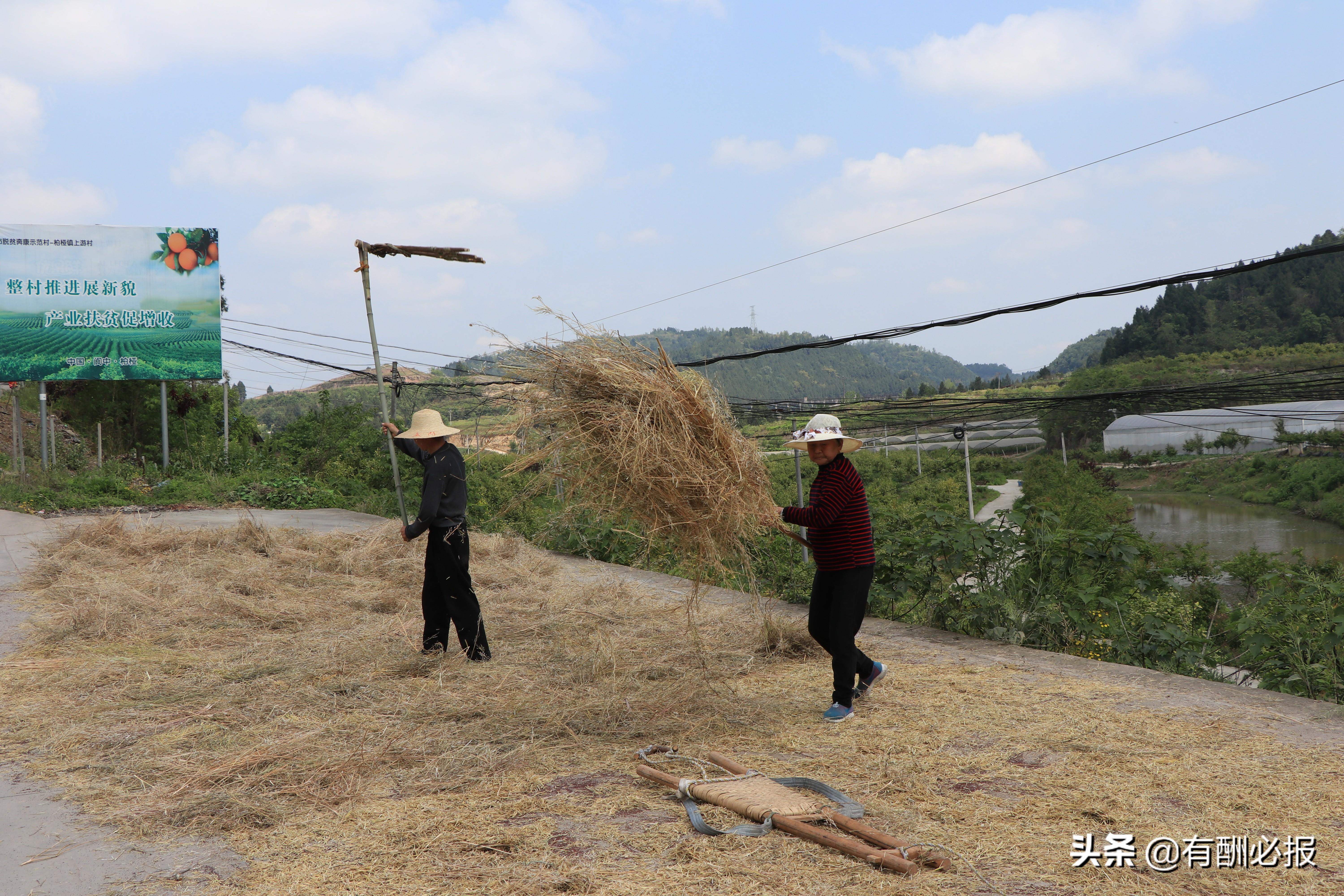 阆中柏垭项目最新动态揭秘：进展情况全面解析