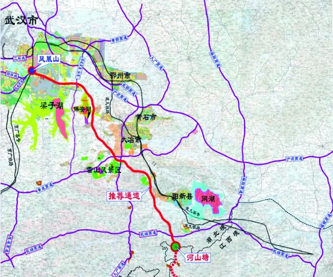 最新速递：新武高速公路建设进展与动态一览