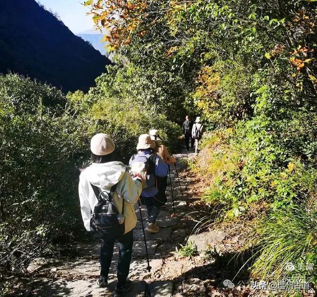 探寻高天古道的最新足迹：揭秘神秘古道动态资讯