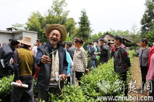 建始高坪地区最新资讯速递：高坪动态一网打尽