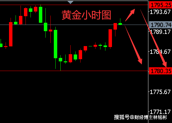 “最新金价趋势解析”