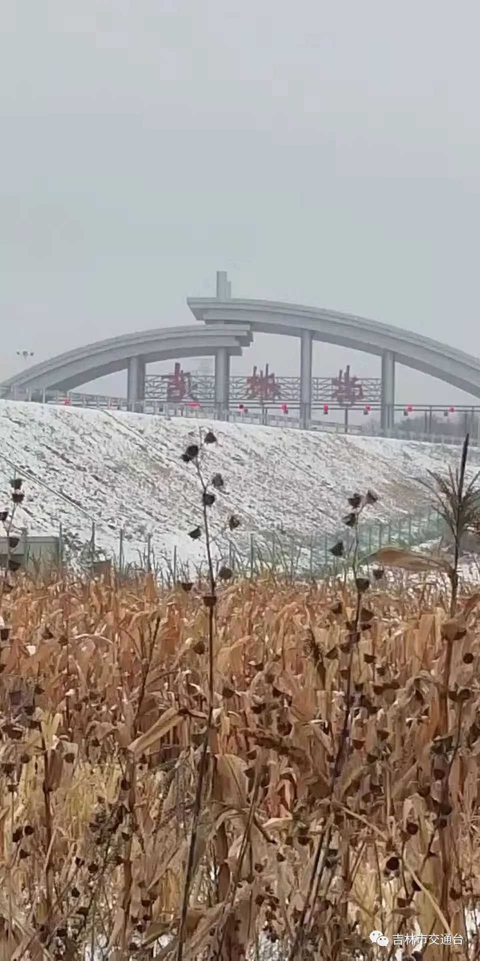 吉荒高速公路实时动态播报