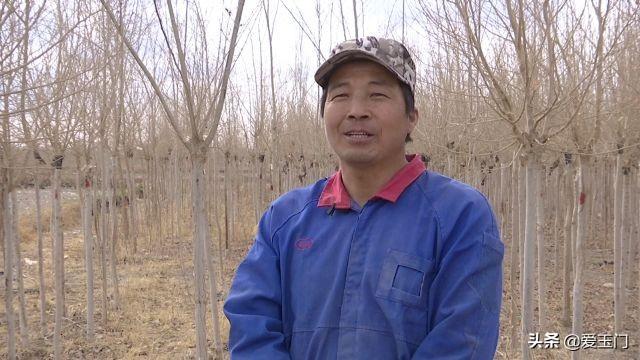 榆树市最新房源上架，精选楼房出售资讯速览